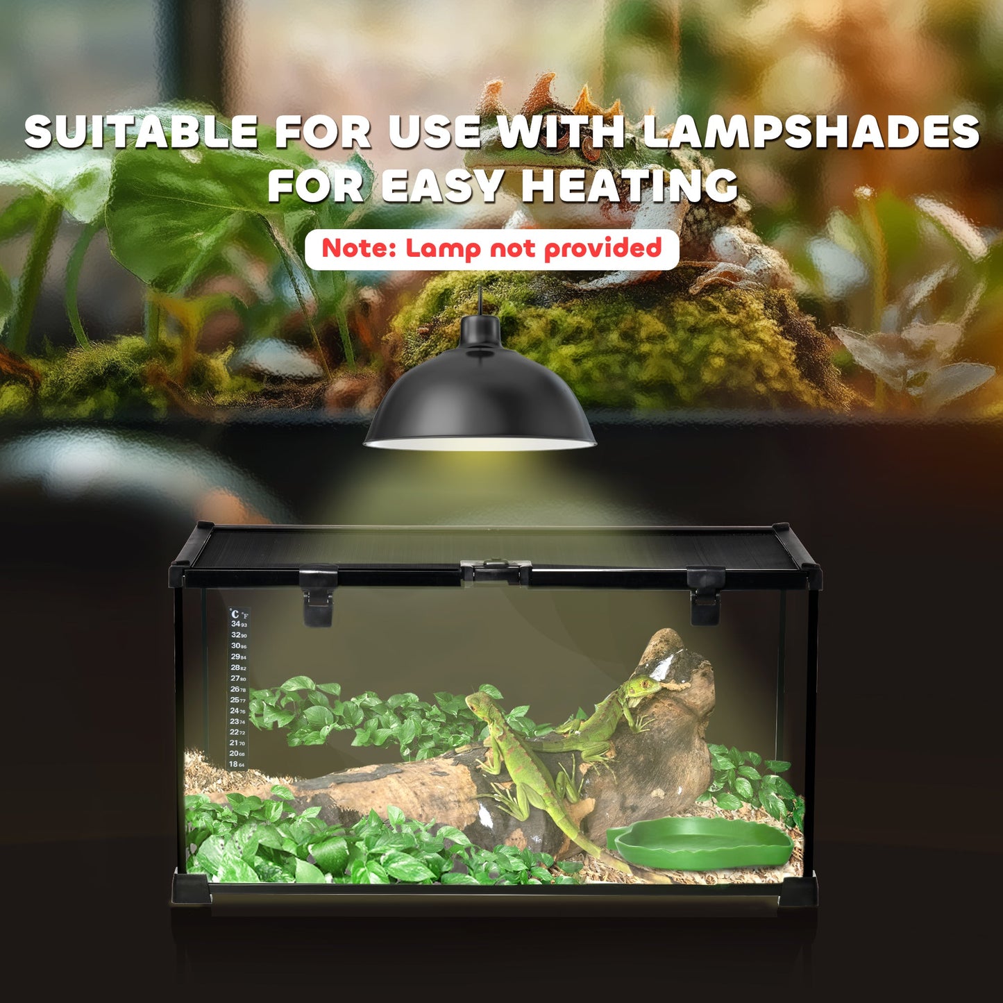 Glass Reptile Terrarium, Jumping Spider Enclosure with Thermometer, Water Basin, Full View Visually for Lizards, Horned Frogs, Snakes, Spiders - Black