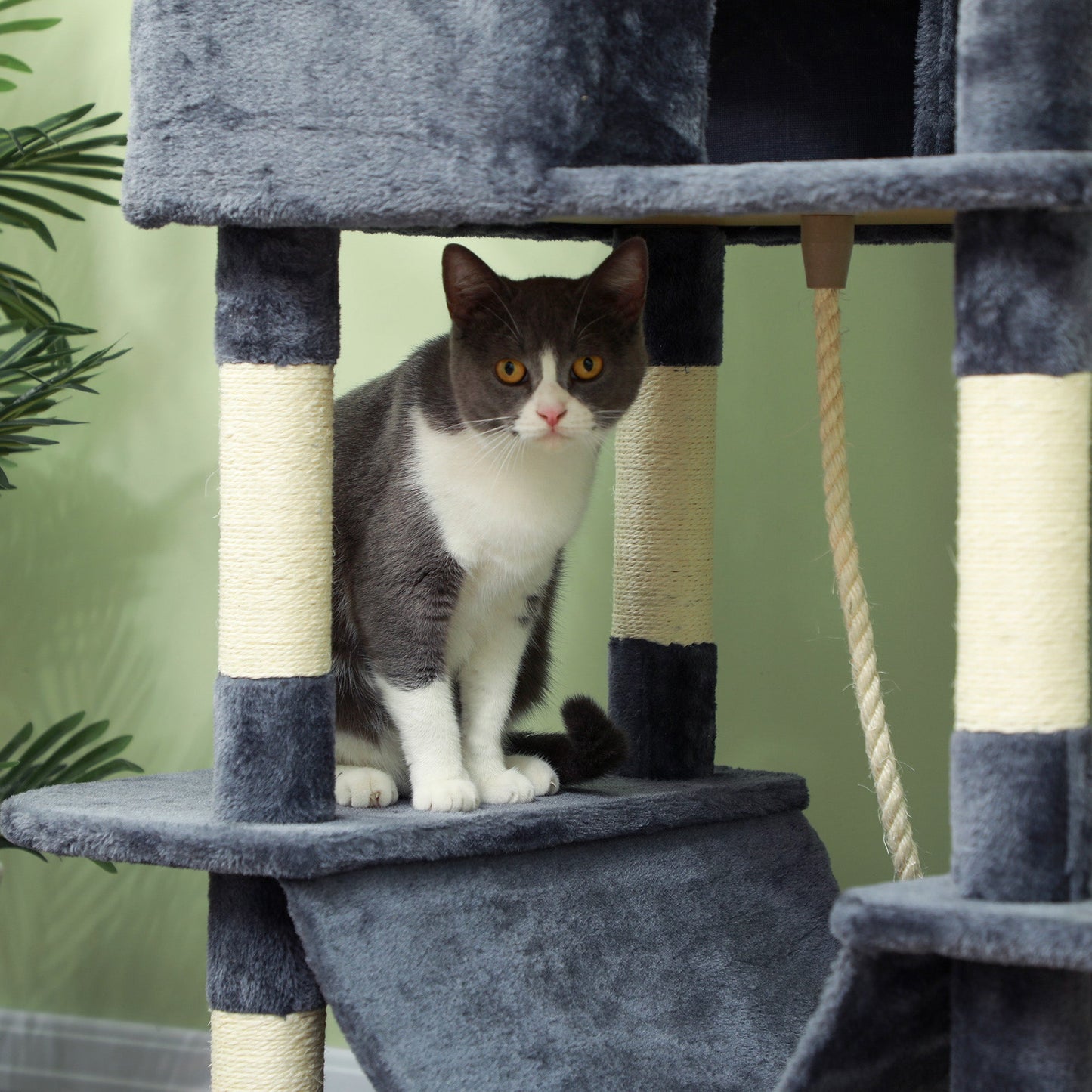 Cat Tower, 81" Cat Tree for Large Cats Adult w/ Scratching Posts, Scratching Board, Cat Condos, Cat Beds, Hammocks, Jumping Platforms, Toy Balls, Rope Cat Toy, Dark Grey