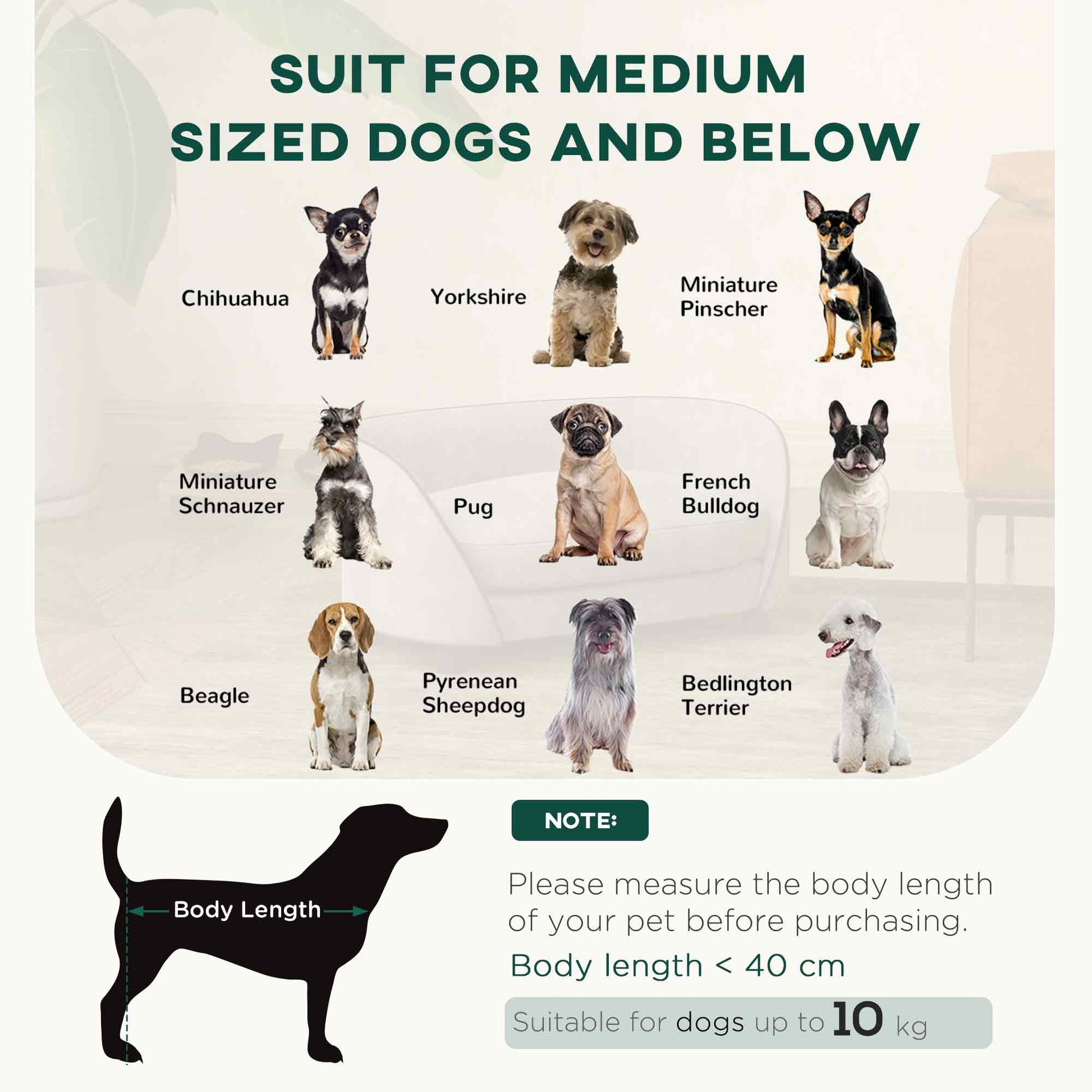 Dog Sofa Pet Couch Dog Bed with Soft Cushion, Removable Washable Cover, Velvet Touch, for Small to Medium Sized Dogs, Grey