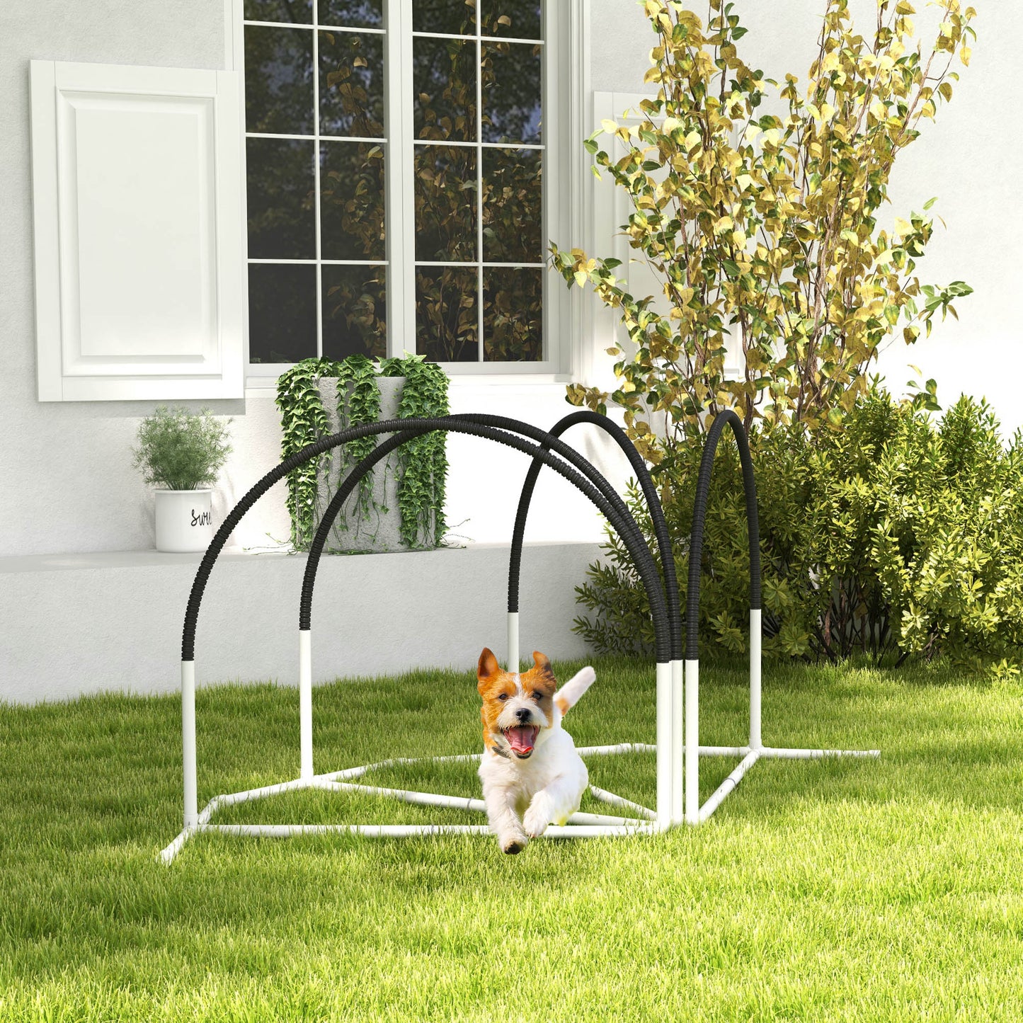 4 Pieces Dog Agility Training Equipment with Weave Poles, Training Starter Kit, Dog Obstacle Course, Pet Outdoor Games with Carry Bag, Black