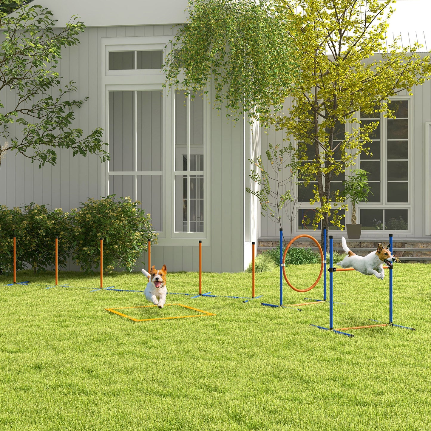 4 Pieces Dog Agility Training Equipment Dog Obstacle Course, Pet Outdoor Games with Weave Poles, Adjustable Hurdle, Jump Ring, Pause Box, Whistle, Balls, Carry Bag, Orange