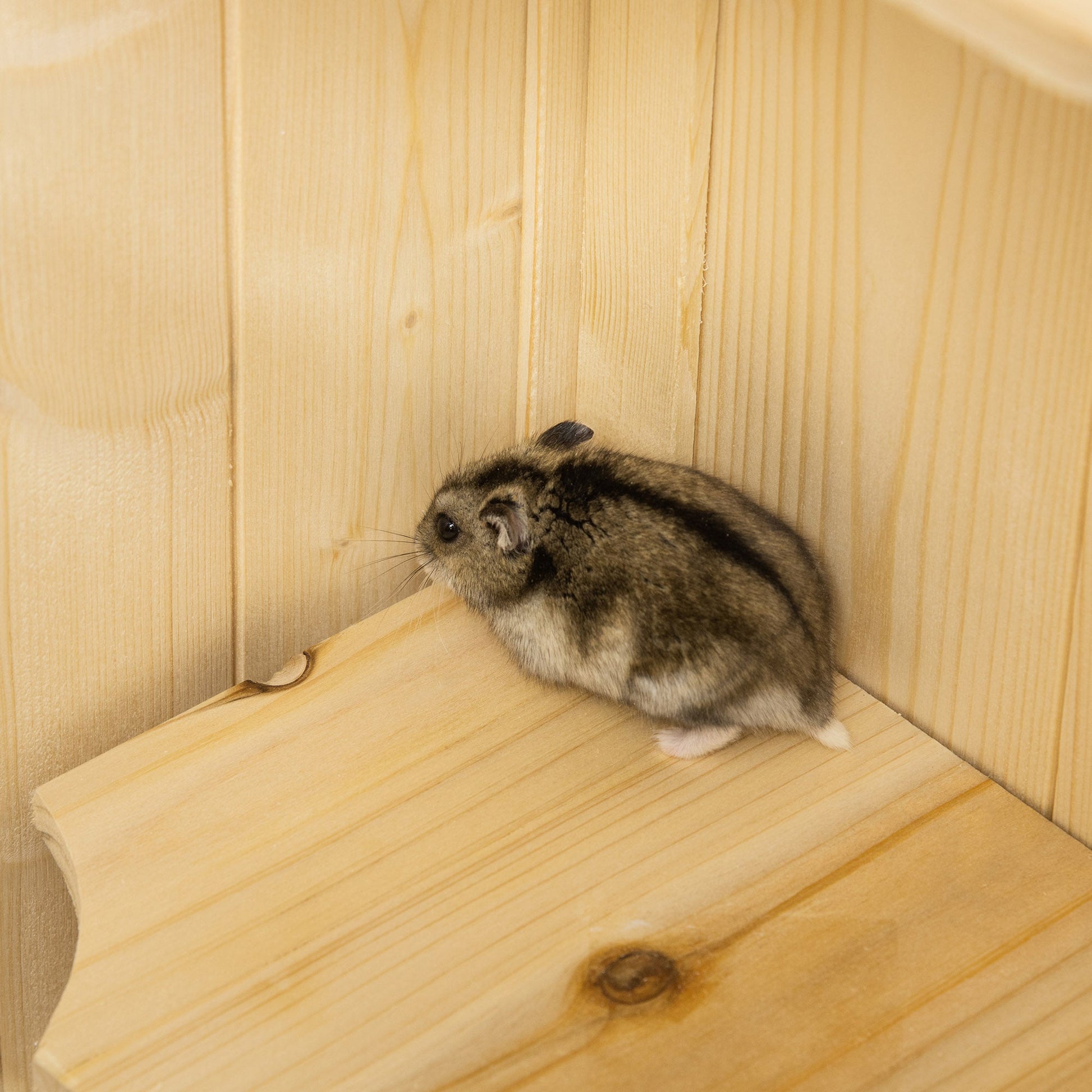 Fir Wood Hamster Cage Mouse Rats Small Animals Play House Exercise Activity Center, 47.25"H